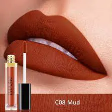IMAGIC COLOUR VELVET LIPGLOSS C Series C08 Mud
