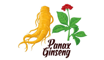 Panax Ginseng